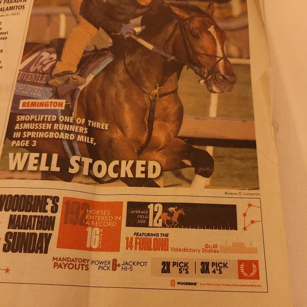 Daily Racing Form - Picture 4 of 8